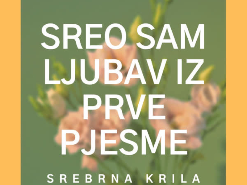 Sreo sam ljubav iz prve pjesme