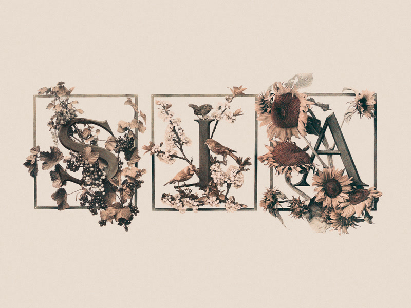 Colour The Small One