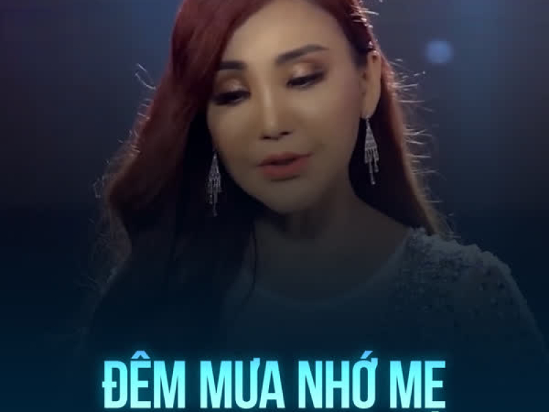 Đêm Mưa Nhớ Mẹ (Single)