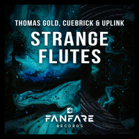 Strange Flutes (Single)