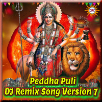 Peddha Puli (DJ Remix Song Version 7) (Single)