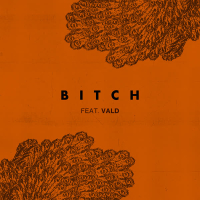 Bitch (feat. Vald) (Single)