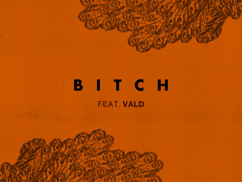 Bitch (feat. Vald) (Single)