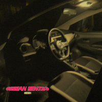 NISSAN SENTRA (Single)