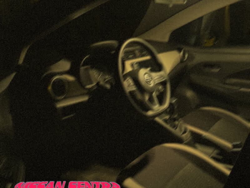 NISSAN SENTRA (Single)