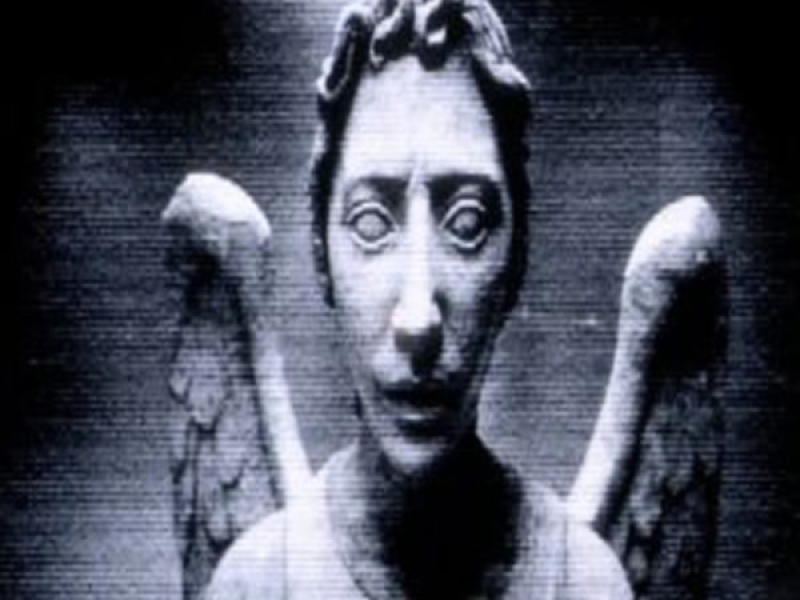 MONTAGEN MEDIA AGRESSIVA (Single)