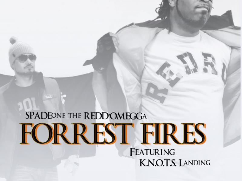 Forrest Fires