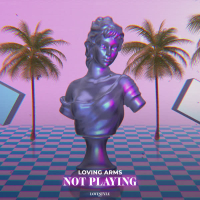 Not Playing (Extended Mix) (Single)