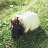 She`s a Baby (Single)