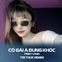 Cô Gái À Đừng Khóc (Trí Thức Remix) (Single)
