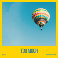 Too much (Single)