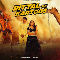 Pittal Ke Kartoos (Single)
