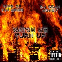Watch Me Turn Up (feat. Waka Flocka Flame & DJ Sean Money) (Single)