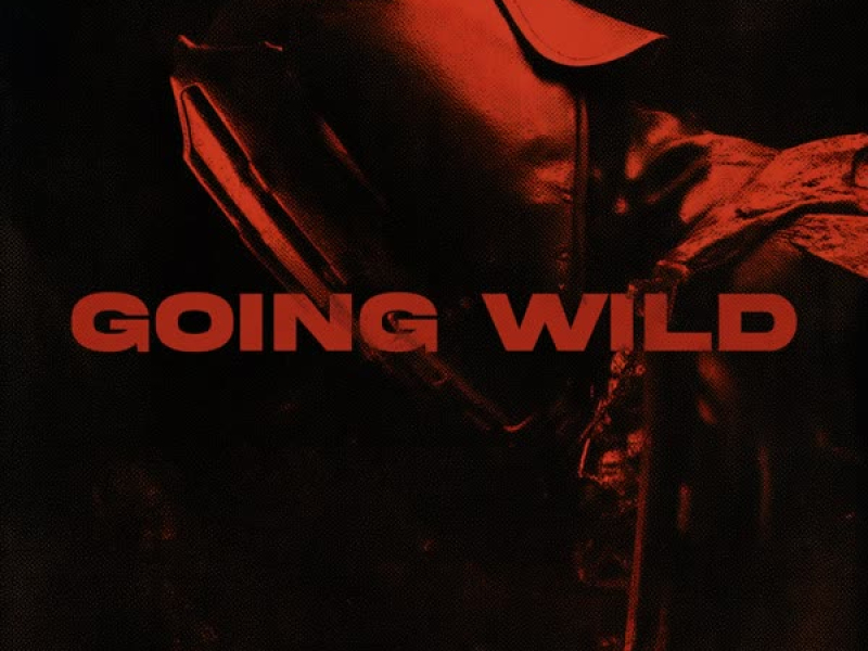 GOING WILD (Single)