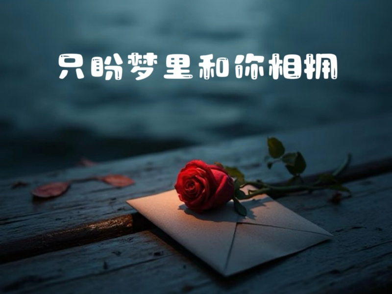 只盼梦里和你相拥 (EP)