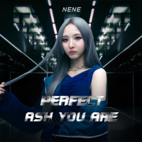 Perfect Ash You are (Single)