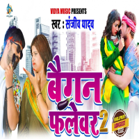 Baigan Flavour 2 (Single)