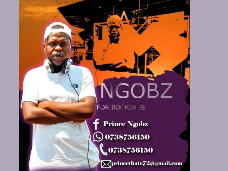 Stena Protocols (Single)