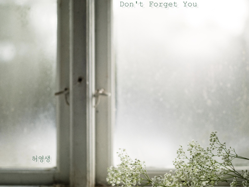 Don't Forget You (Single)