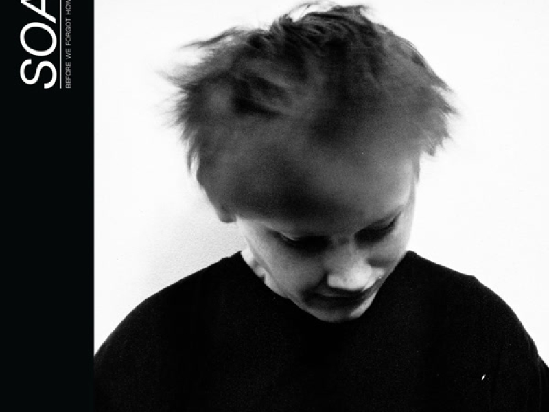 Before We Forgot How To Dream