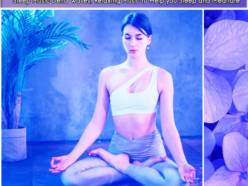 Mindfullness Meditation: Sleep Music Delta Waves, Relaxing Music to Help you Sleep and Meditate (Single)