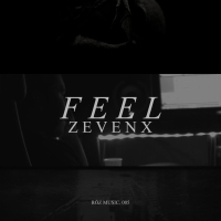 FEEL (Original Mix) (Single)