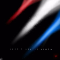 Stupid Nigga (Single)