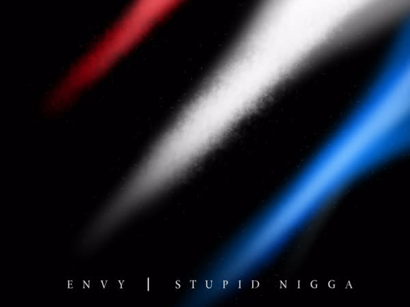 Stupid Nigga (Single)