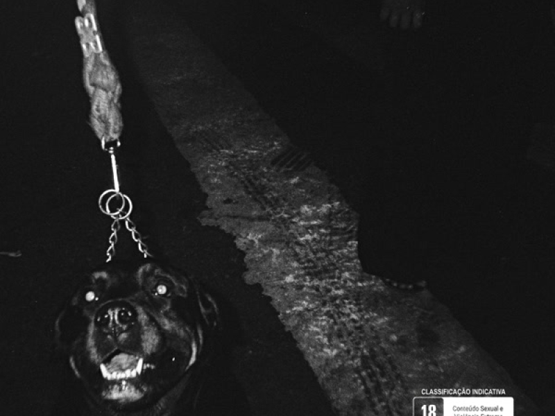 NOVINHA BONITINHA (Single)