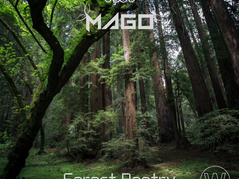 Forest Poetry (Single)