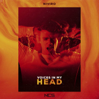 Voices In My Head (Single)