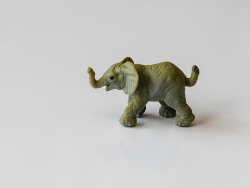 Lirili larilá (Single)