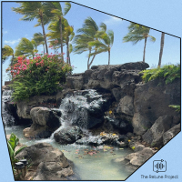 Waikiki Beach (Single)