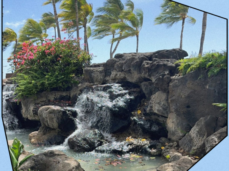 Waikiki Beach (Single)