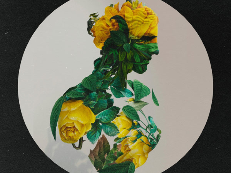 Piece of mind (Single)