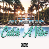 Catch A Vibe (feat. French Montana & KG Picasso) (Single)