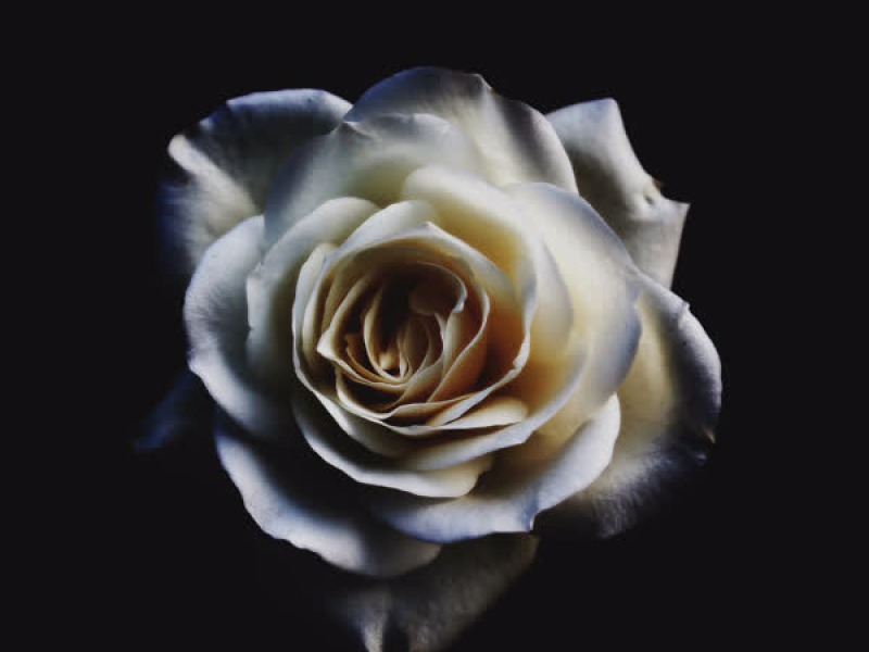 Make It Home (feat. Naj Ahngeaux) (Single)