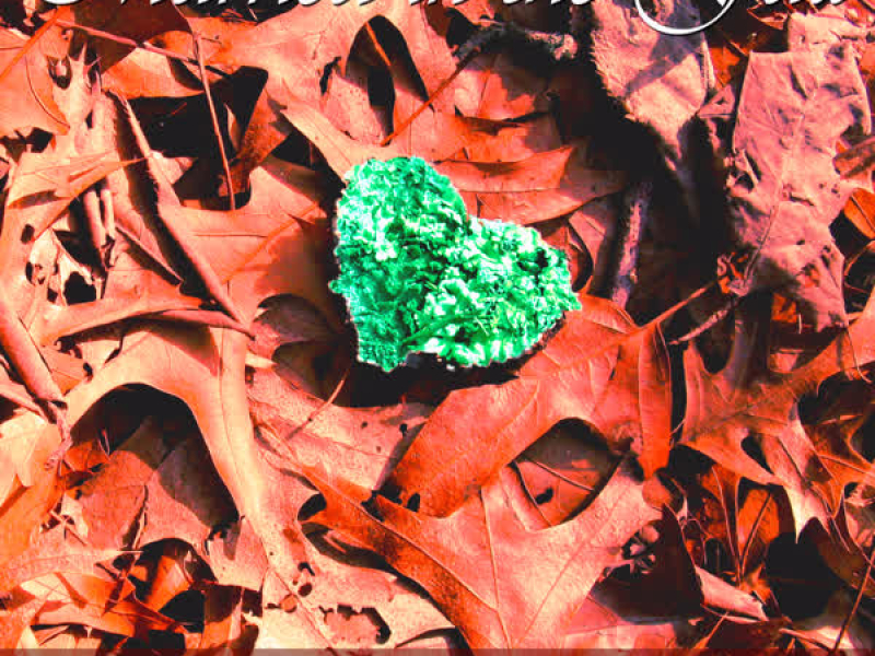 Married in the Fall: 40 Classic Wedding Songs