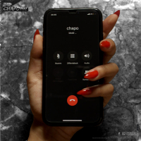 SIE RUFT AN (Single)