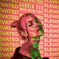 Elevated (Mollie Collins Remix) (Single)