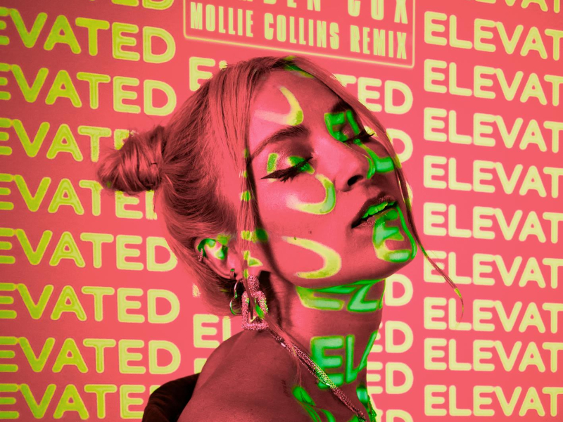 Elevated (Mollie Collins Remix) (Single)