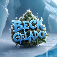 Beck Gelado (Single)