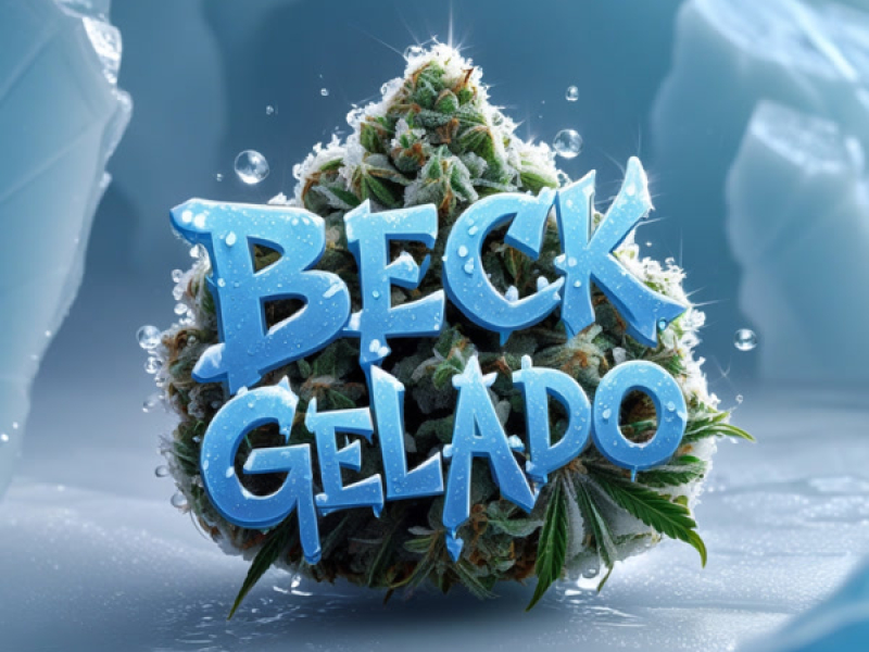 Beck Gelado (Single)