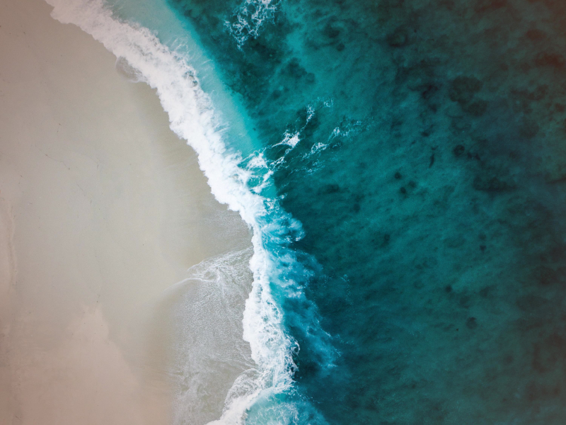 Soothing Ocean Waves with Sea Gull Sound for Stress Relief and Relaxation (Single)