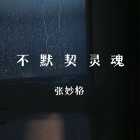 不默契灵魂 (Single)