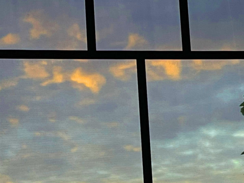 my psychiatrist said you're the love of my life (Single)