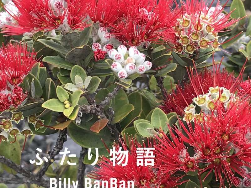 Futarimonogatari (Single)