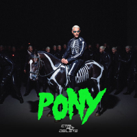 Pony (Single)