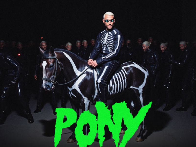 Pony (Single)