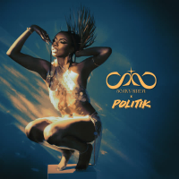 Save Room (Politik Remix) (Single)